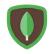 MongoDB